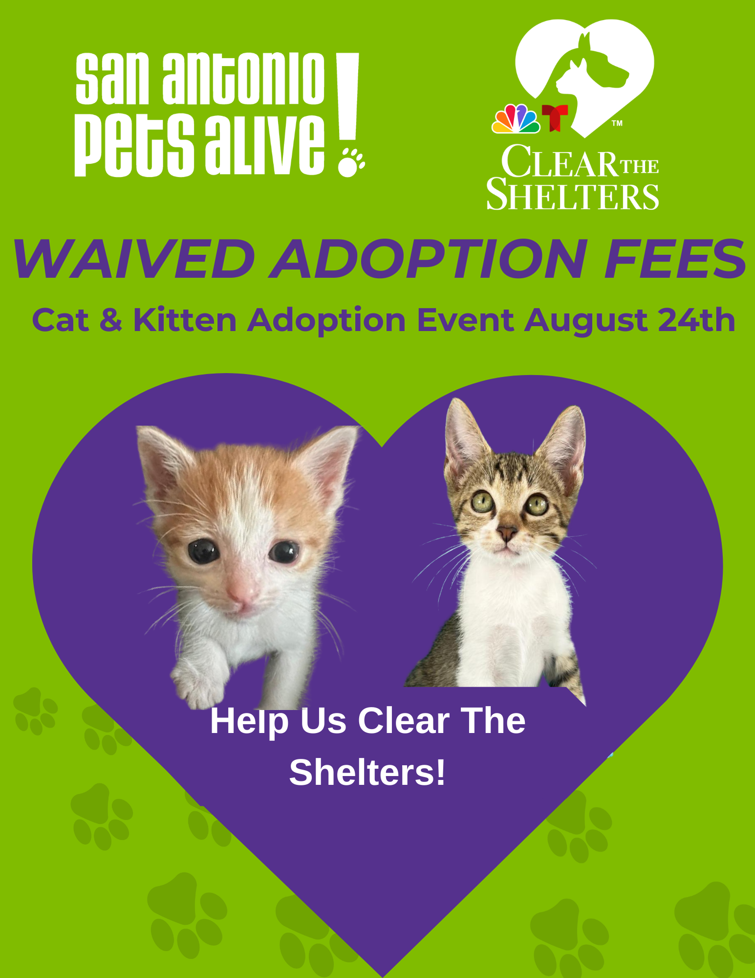 SAPA! Cat & Kitten Adoption Event- Waived Adoption Fees!